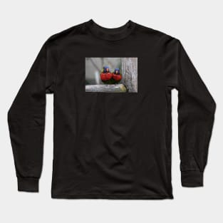 two birds in love Long Sleeve T-Shirt